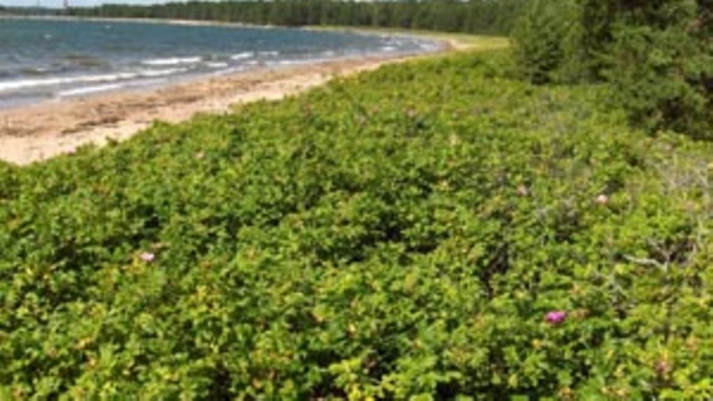 Kuva: Terhi Ryttäri