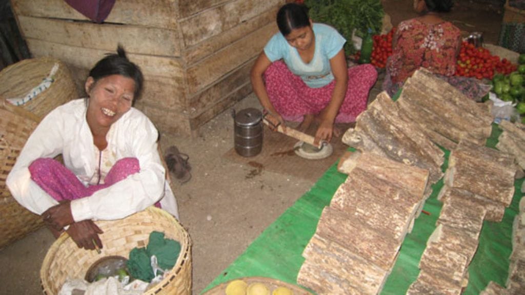 Torilla valmistetaan paikallista aurinkovoidetta puun kaarnasta.