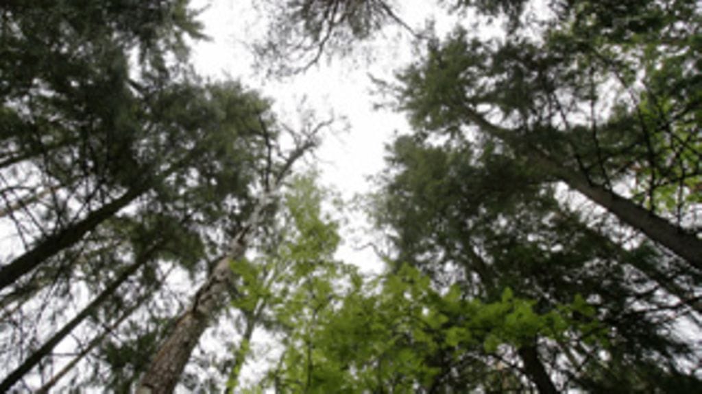 Lehtikuva/Hannu Kivimäki