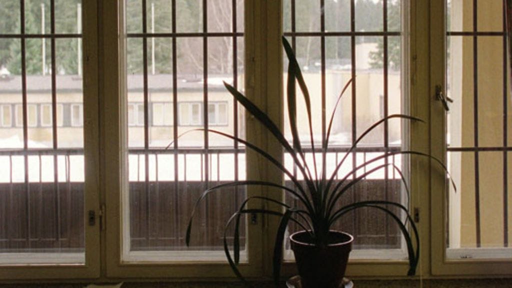 Lehtikuva/Tor Wennström