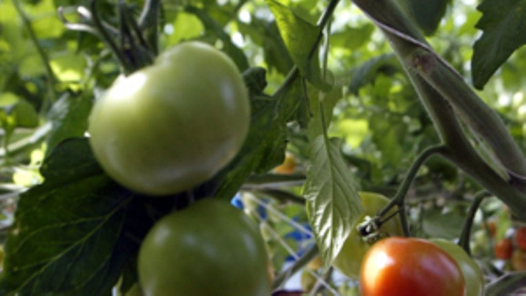 Lehtikuva/Jussi Nukari