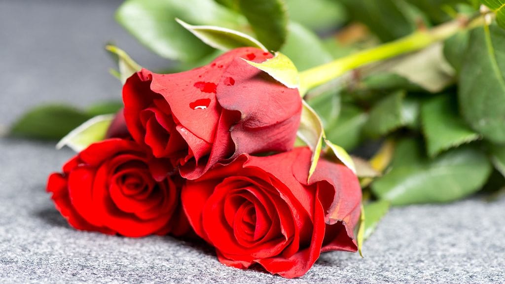 Attendo palkitsi espoolaisen hoivakodin idean poisnukkuneiden muistopaikasta vuoden tekona. Kuvituskuva.