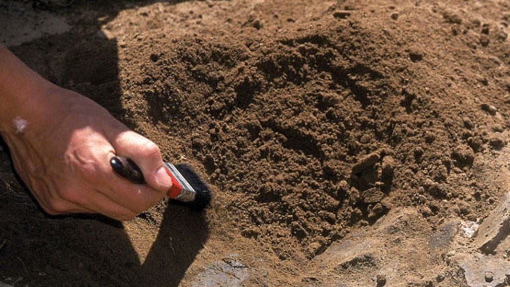 Arkeologiset kaivaukset voivat tuoda vastausten lisäksi lisää kysymyksiä. Kuvituskuva.