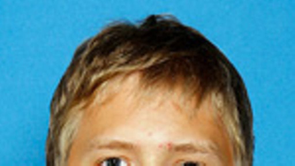 Niko Snellman, Ilves