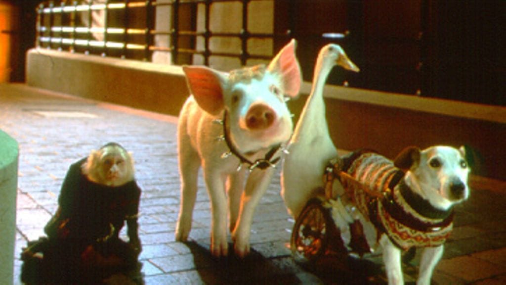 Babe - Possu suurkaupungissa