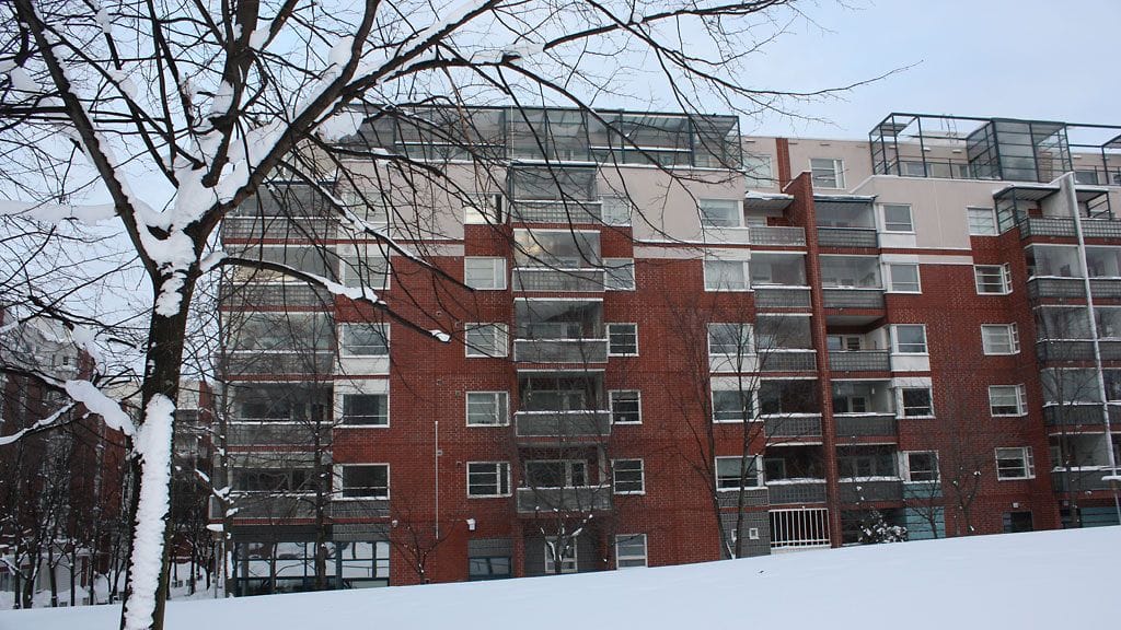 Presidentti Halonen ja tohtori Arajärvi muuttavat todennäköisesti Kallioon-