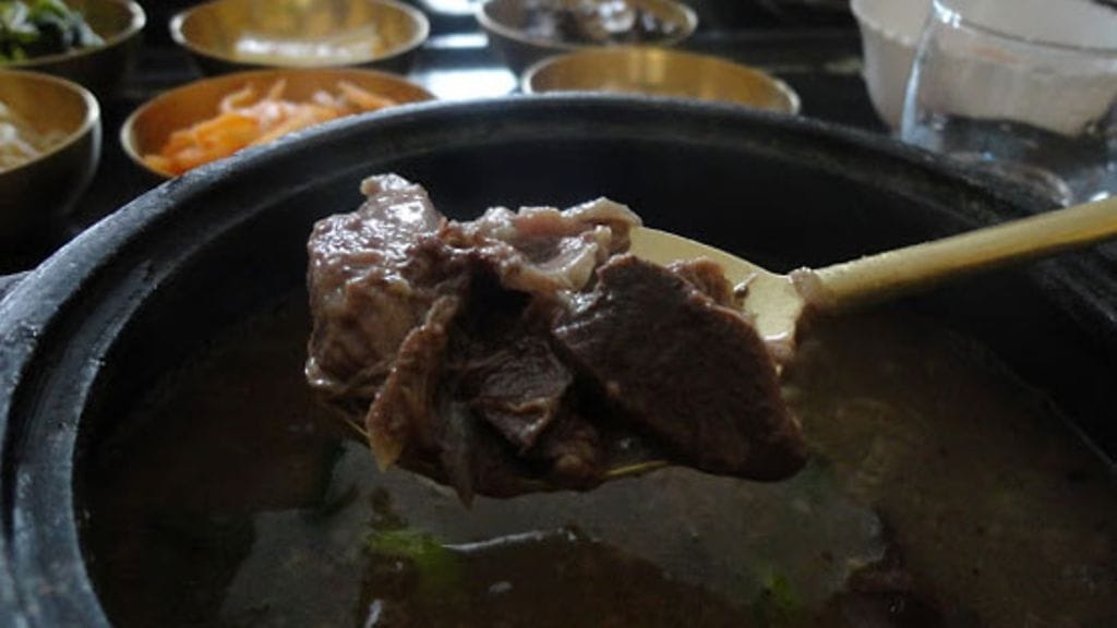 Koirakeitto maistui Pohjois-Koreassa.