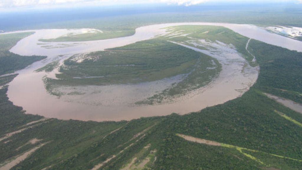 Perun pinta-alasta kolmannes on Amazonin viidakkoa.