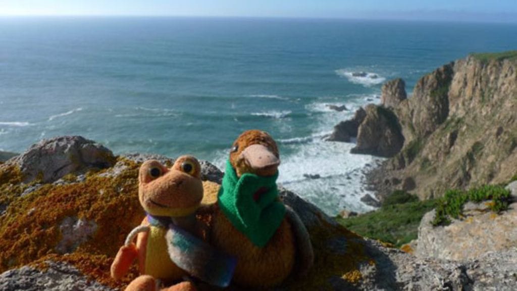 Tuli-sammakko ja Zoe-lintu Cabo da Rocassa Portugalissa.