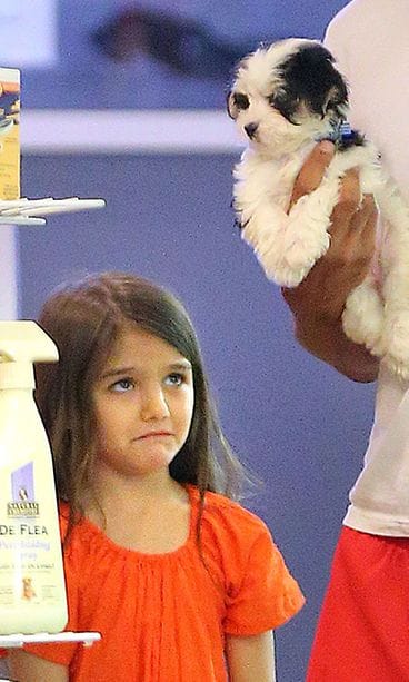 Suri Cruise olisi halunnut itselleen koiranpennun.