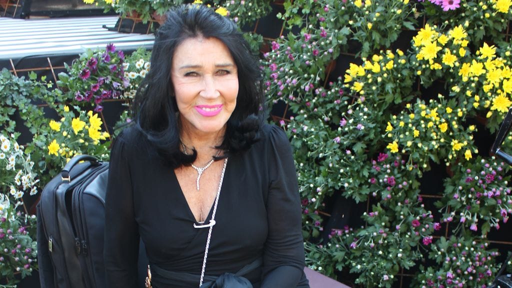 Marimekon entisen omistajan Kirsti Paakkasen säätiö on yksi selvityksen alla olevista säätiöistä.