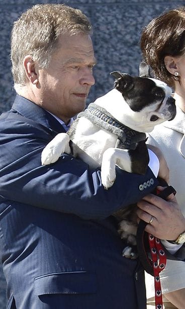 Lähikuvassa näkyy, että hihnassa on Ässät-logoja.