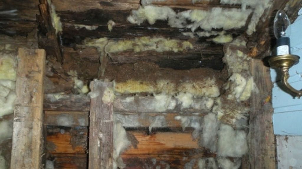 Janne Katajan Home Sweet Home