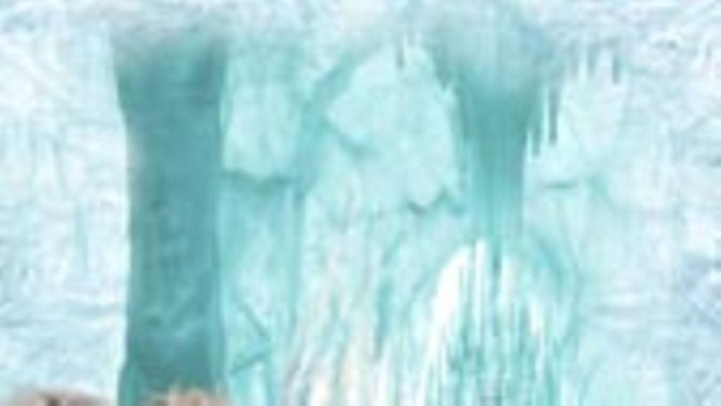 Narnian tarinat: Velho ja leijona