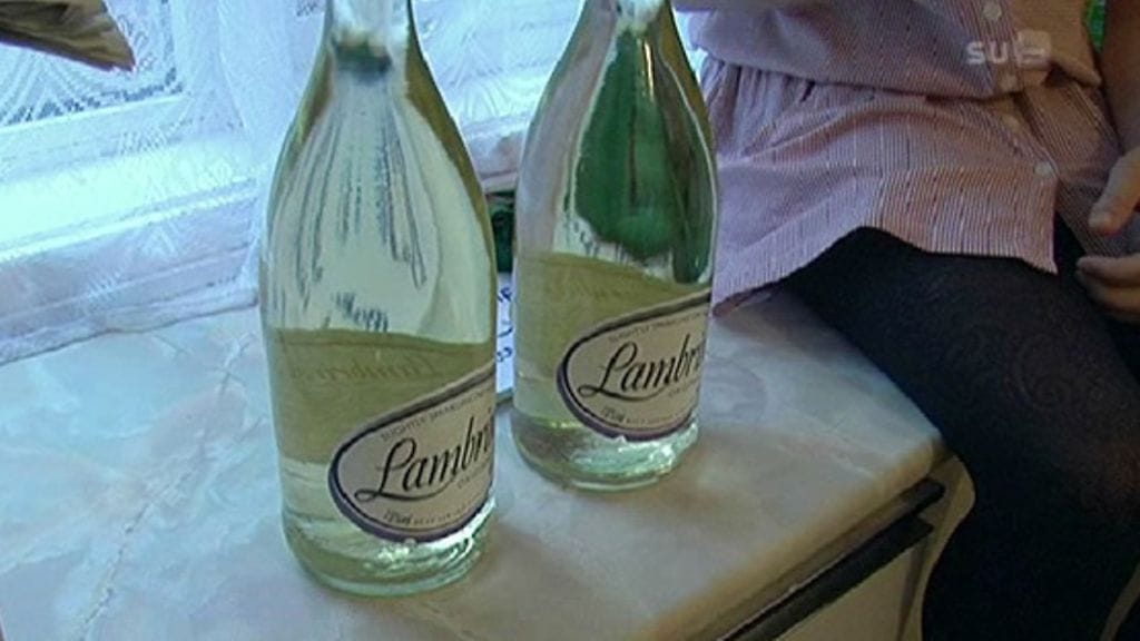 Subin Tosipaikka-dokumentissa tavattiin alkoholismista kärsiviä brittiteinejä.