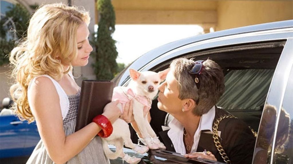 Beverly Hillsin hienostohauva