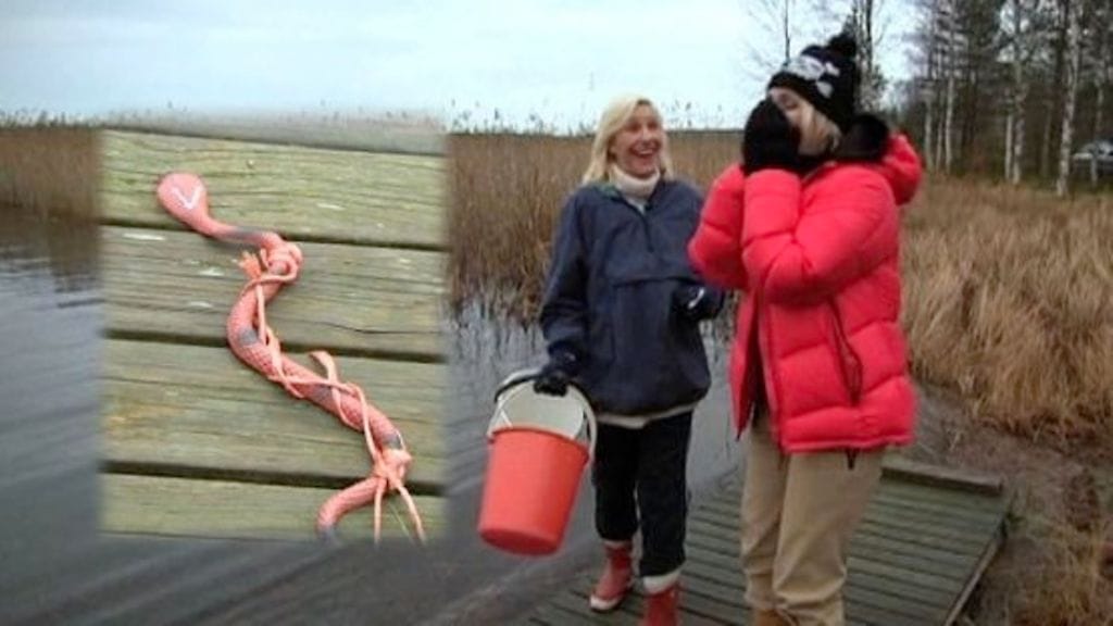 Eija Vilpas ja Anna Perho (Kuva: MTV Oy)