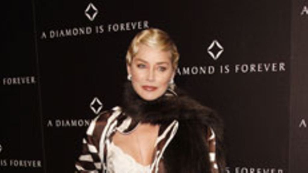Sharon Stone helmikuussa 2008
