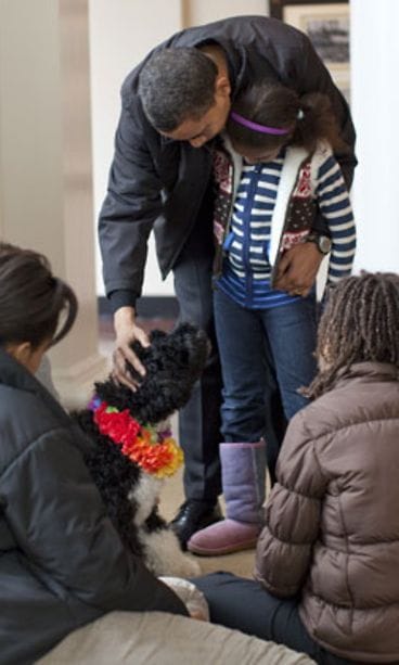 Obaman koira Bo (kuva: Getty Images/All Over Press)