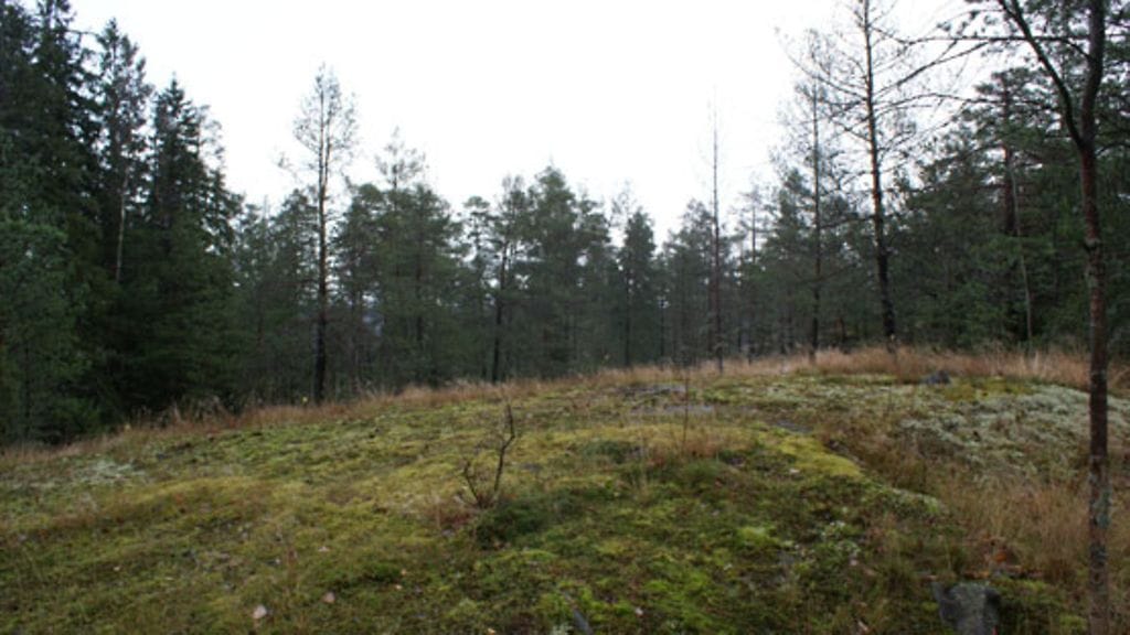 Jussi Salonojan tontti. (Kuva: Mikko Kormilainen)