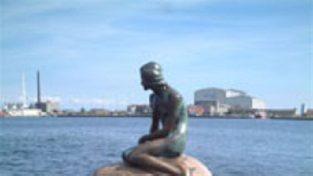 Pieni merenneito (Kuva: Nina Pinjola)