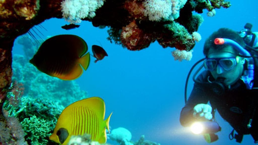 Katsoa saa, muttei koskea.