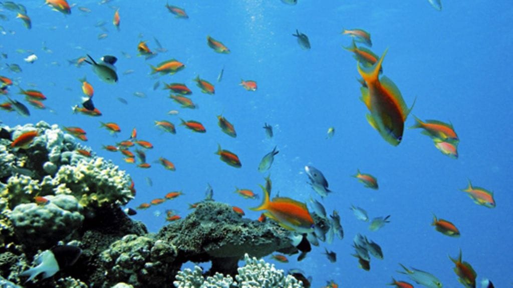 Atlantis - Kadonnut kaupunki