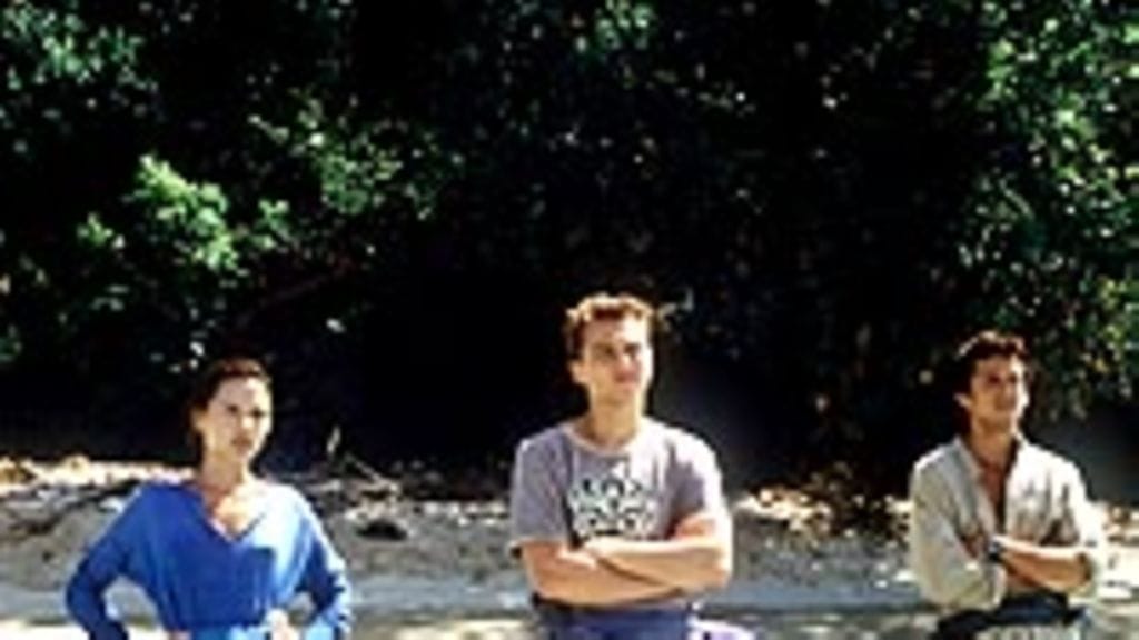 Leonardo DiCaprio (The Beach)