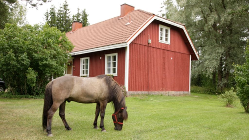 Idyllinen maisema, rauhallinen ympäristö sekä oma lampi tekevät kohteestamme erikoislaatuisen.