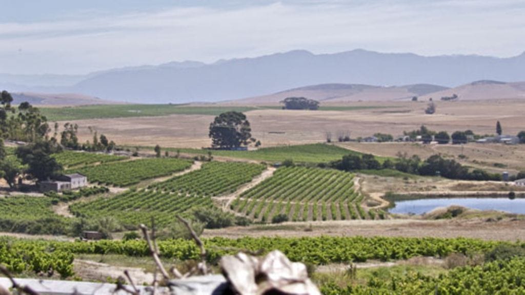 ViiniTV:n Ilkka Sirén suosittelee viinimatkailukohteeksi muun muassa Etelä-Afrikkaa