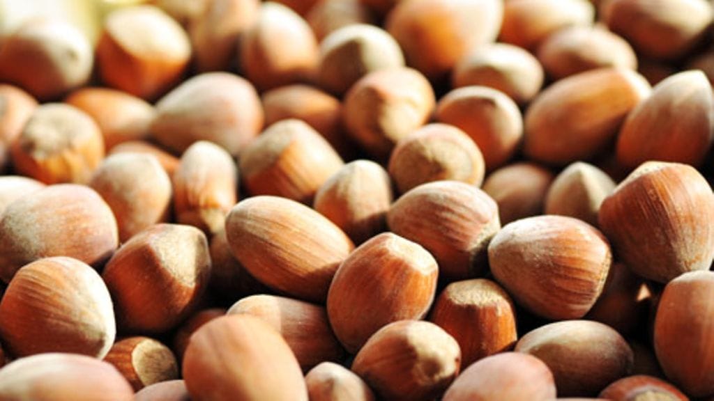 Pähkinöiden sisältämä rasva avittaa aivoja.