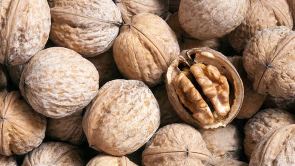 Pähkinöistä saa monia tärkeitä ravintoaineita.
