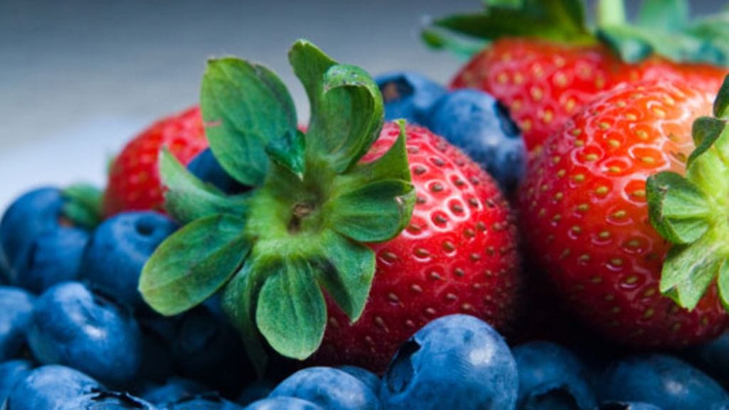 Marjat suojelevat aivoja.