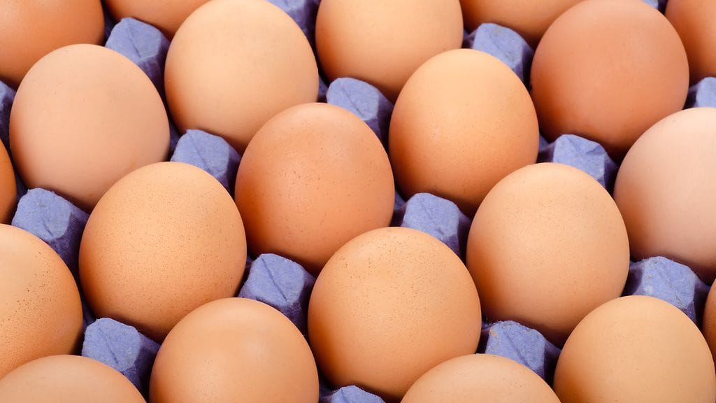 Uskallatko kokeilla The Rockin ruokavaliota? (Kuvakaappaus Twitteristä)