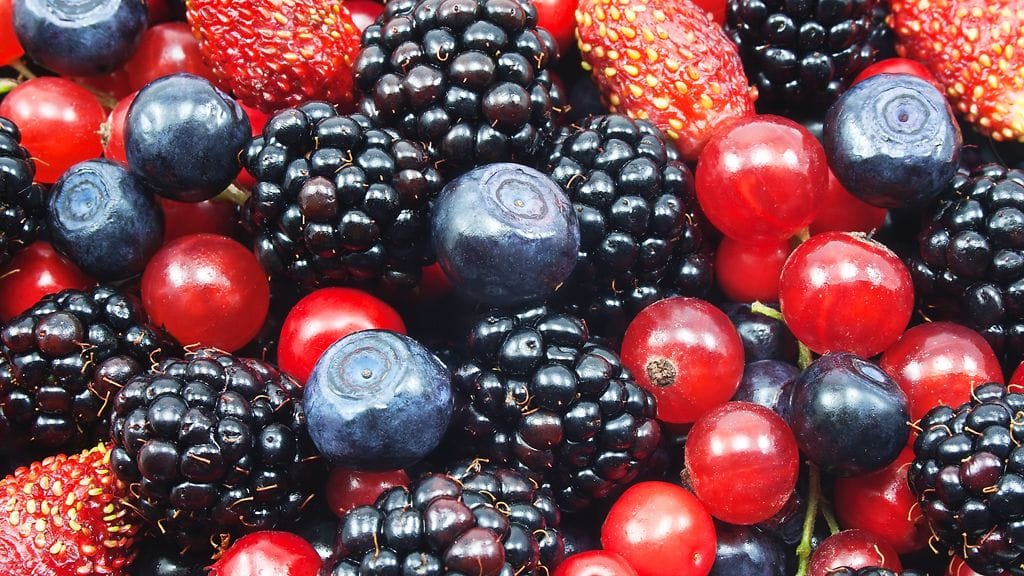 Mikko Roberts Saksan Kölnissä Anuga-elintarvikemessuilla