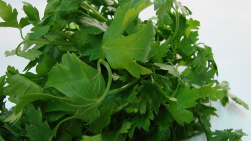 Persilja. Kuva: SXC.