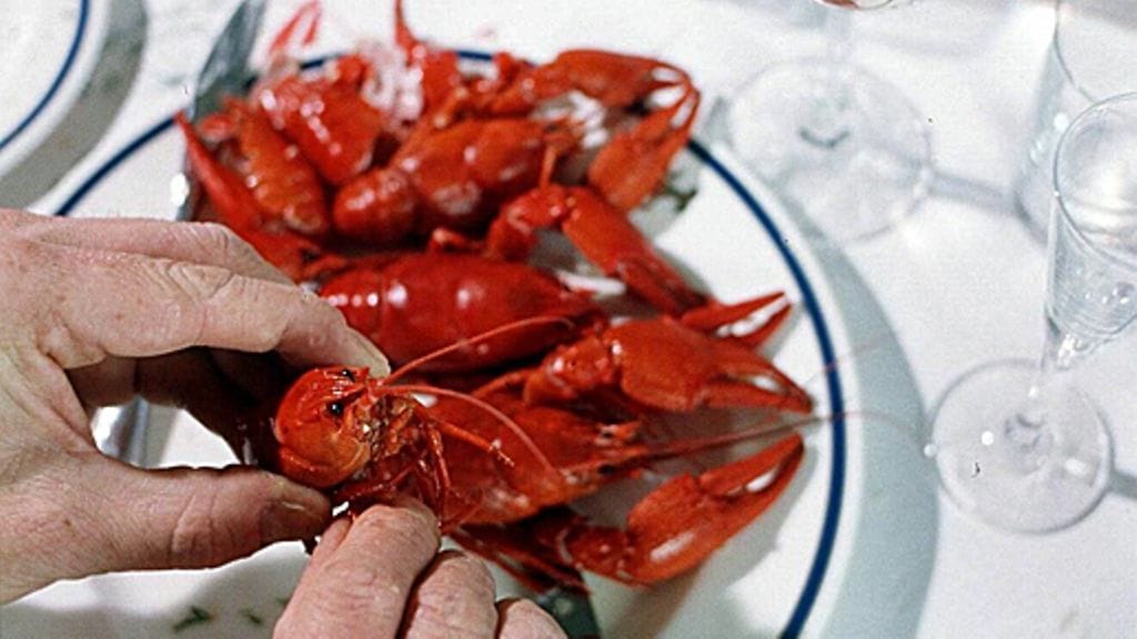 Ravun syöntiä on syytä harjoitella. Kuva: Lehtikuva.