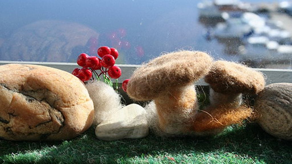 Ikkunasomistuksia. Kuva:Pia Tuononen, Villapallo-blogi