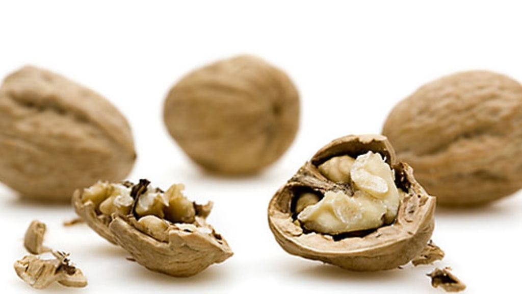 Kuva: Futureimagebank