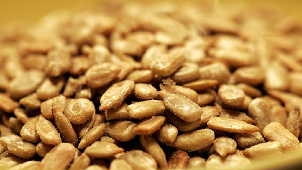 Auringonkukansiemeniä. Kuva: Lehtikuva.