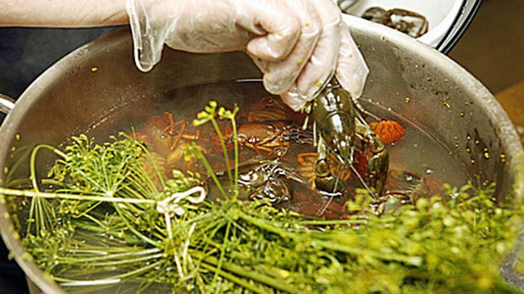 Ravut pitää keittää hyvin. Kuva: Lehtikuva.