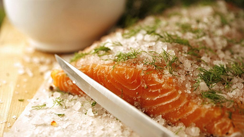 Graavilohta. Kuva: Lehtikuva.