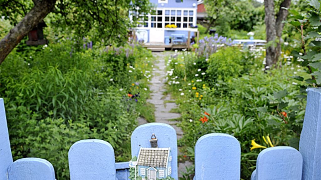 Kesämökillä sattuu ja tapahtuu. Kuva: Lehtikuva/Roni Rekomaa.