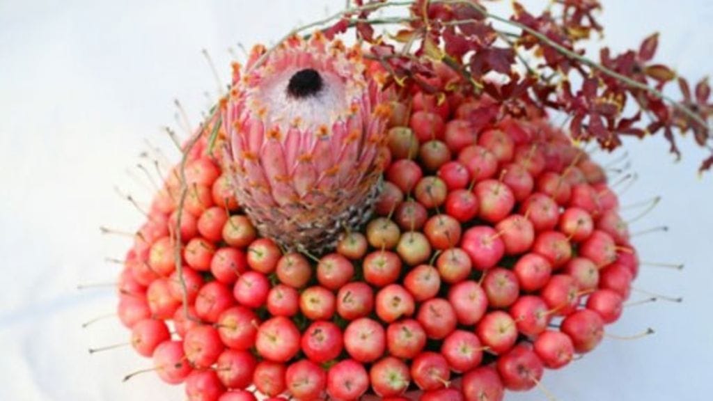 Asetelma koristeomenoista, Barbigera-proteasta, Miltonidium Bartley Schwarz  'Highland' -orkideasta ja Vanda-orkidean juurista. Kuva: Jouni Seppänen