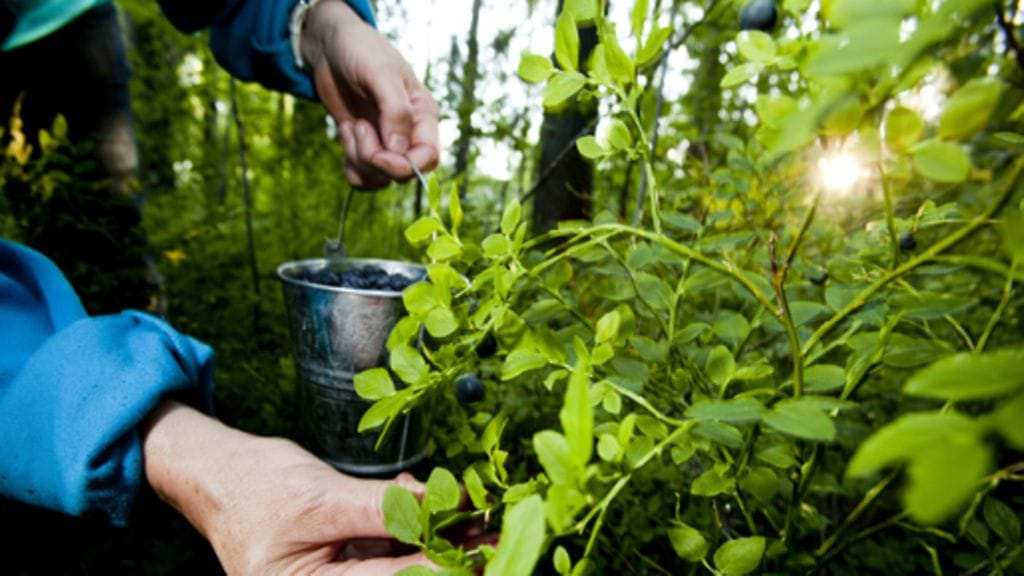 Oikeuksien mukana tulee myös vastuu.