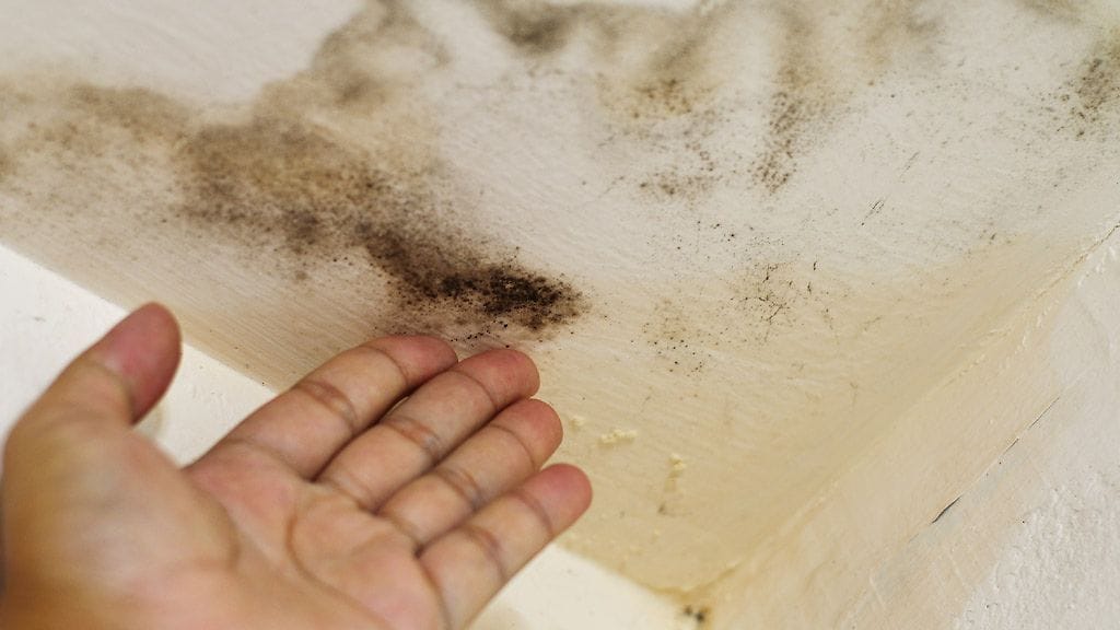 Kosteusvaurioepäilys on aina tutkittava kunnolla.