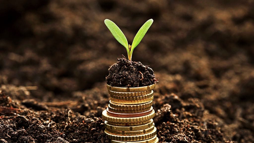 Jos aina tuhlaat kaiken, varakassasi ei tule koskaan kasvamaan.