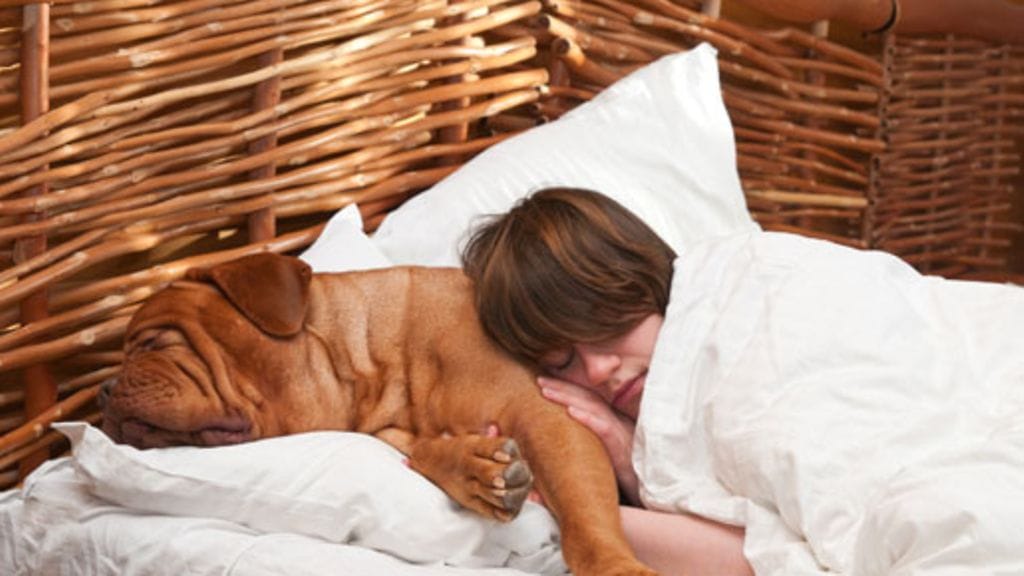 Onkohan unikaverilla merkitystä unen laatuun?