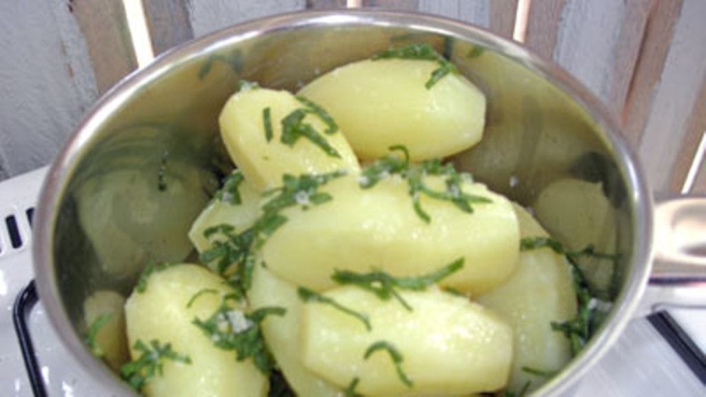 Salviaperunat