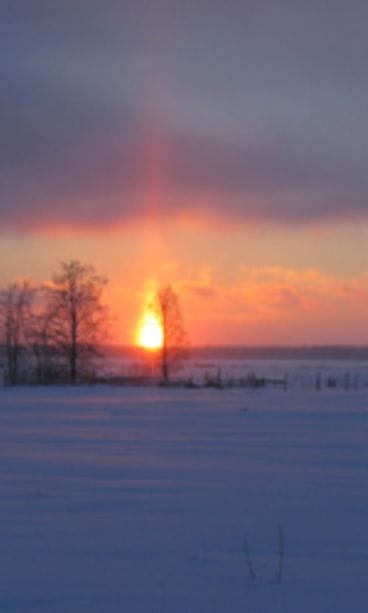 Marjaana Jarva, Piippola